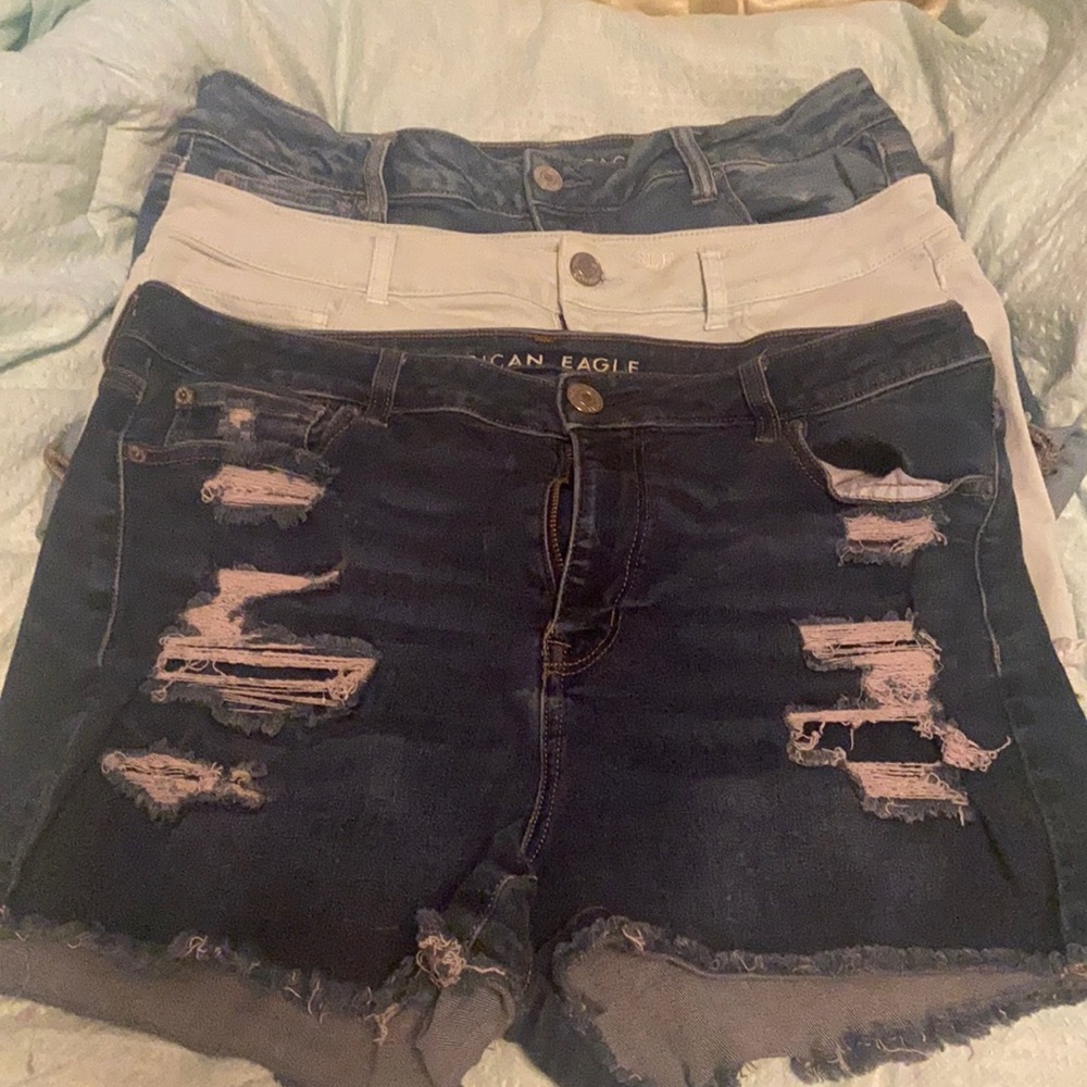 AE short bundle